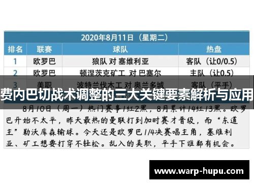 费内巴切战术调整的三大关键要素解析与应用 费内巴切战术调整的三大关键要素解析与应用